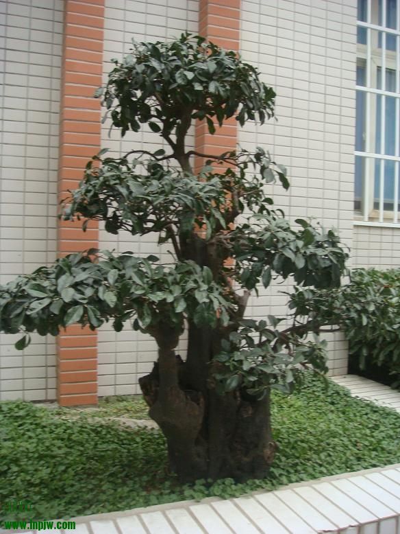 DSC06413.JPG