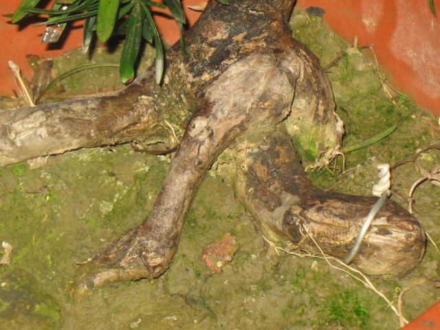 ȸ4.JPG