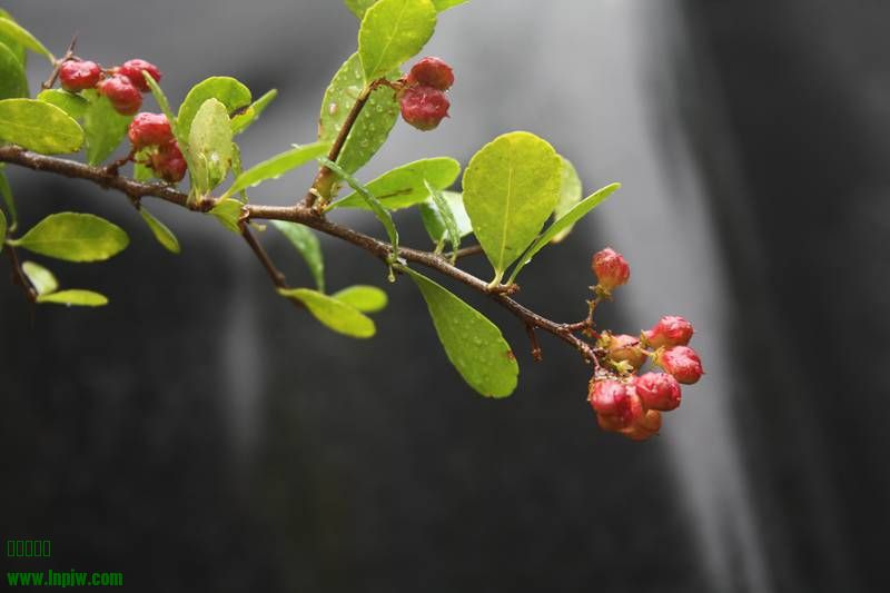 Ƭ20131026ۺ 514.jpg