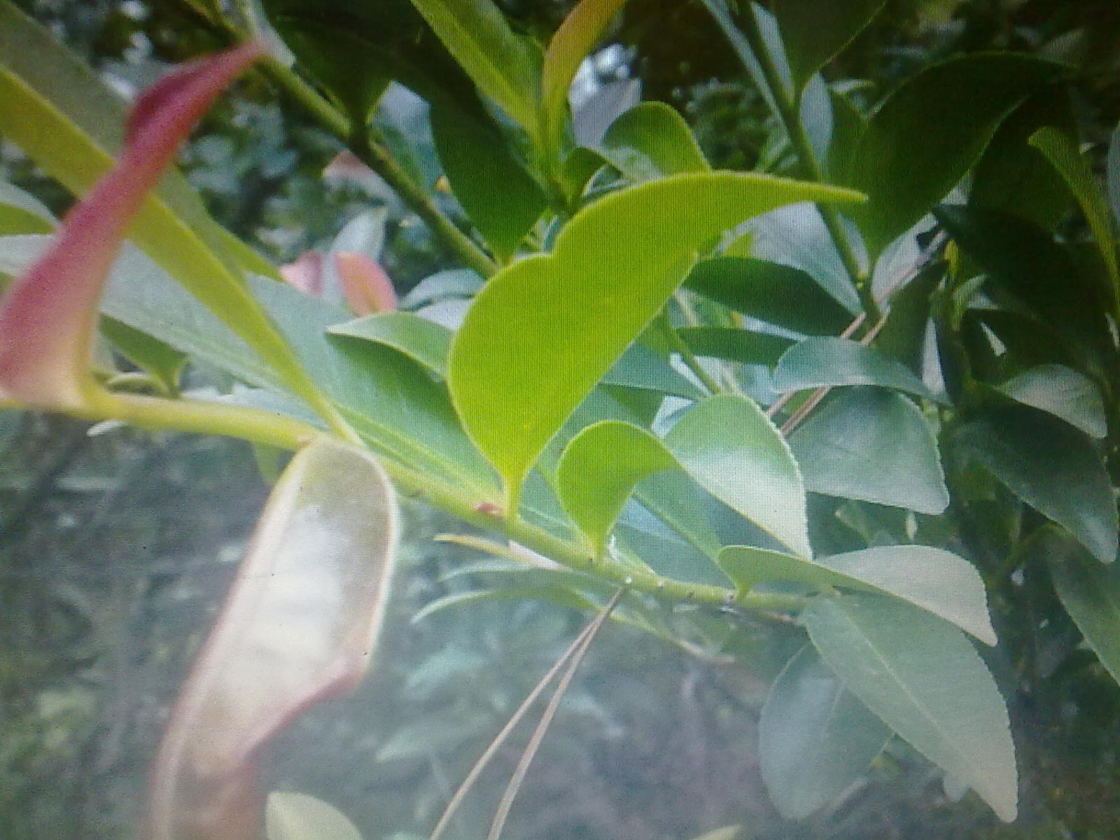 20131211099.jpg