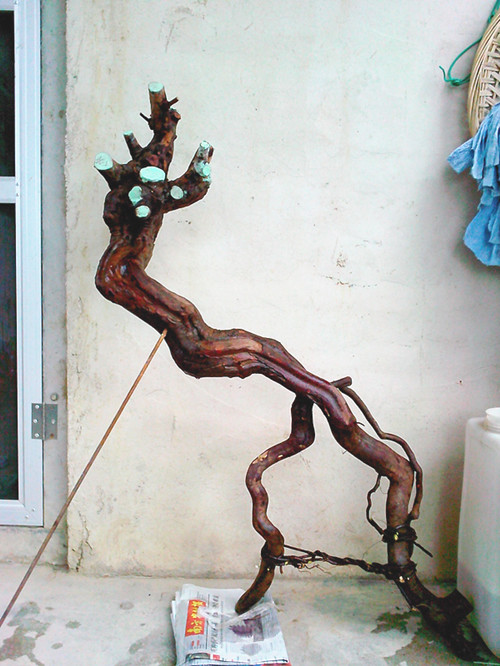 IMG20131213005_.jpg