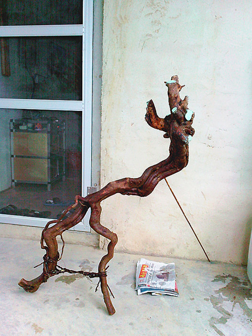 IMG20131213010_.jpg