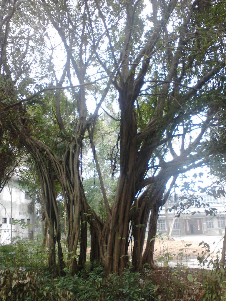 IMG_20131211_111850.jpg