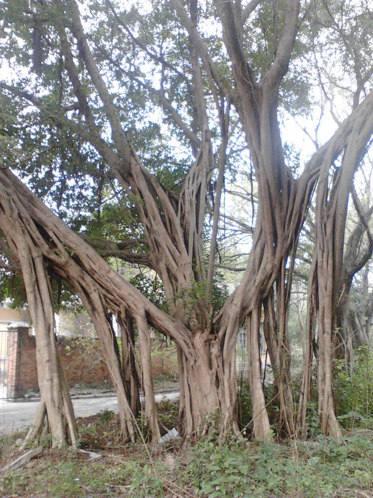 IMG_20131211_112005.jpg
