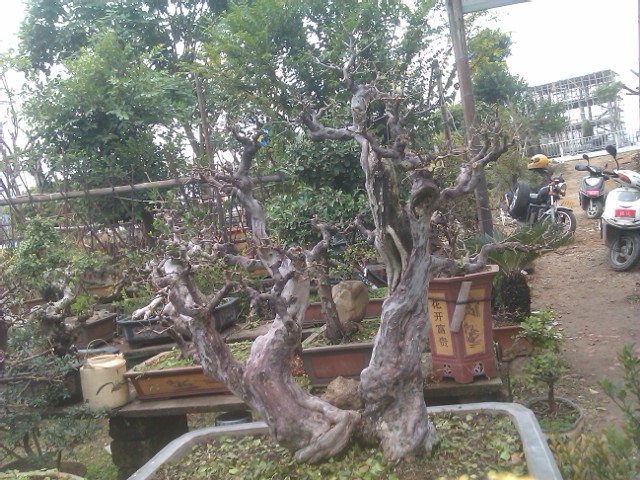 IMAG0076.jpg