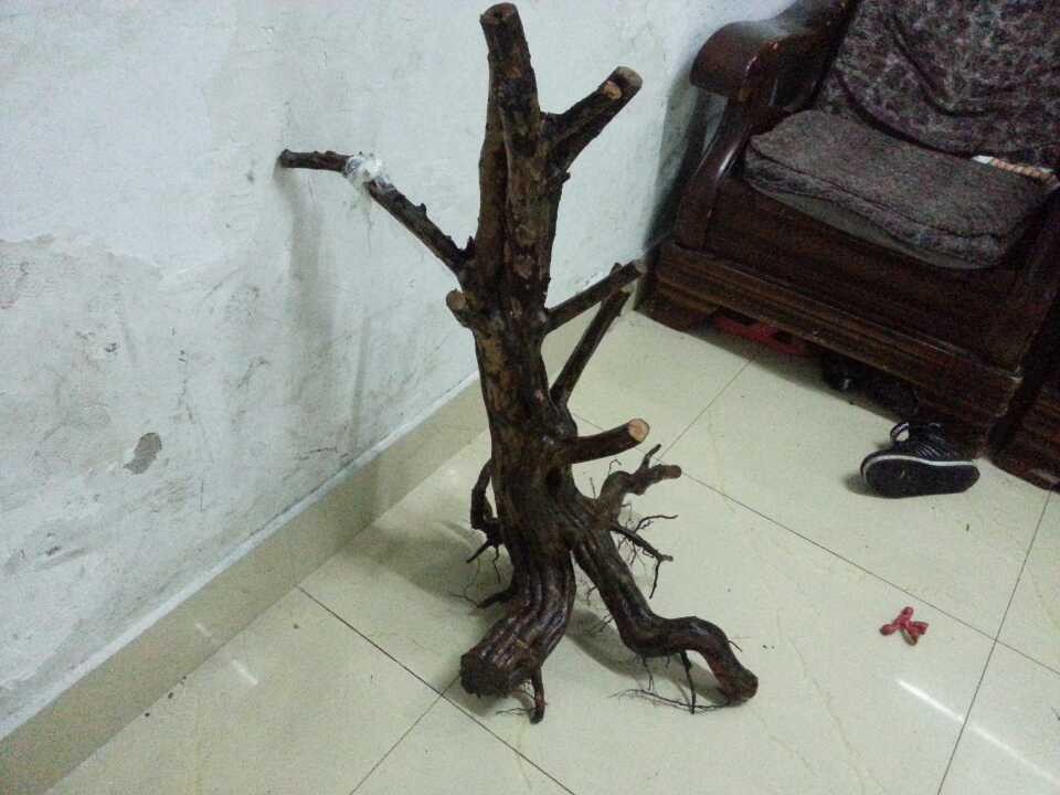 QQͼƬ20131215191026.jpg