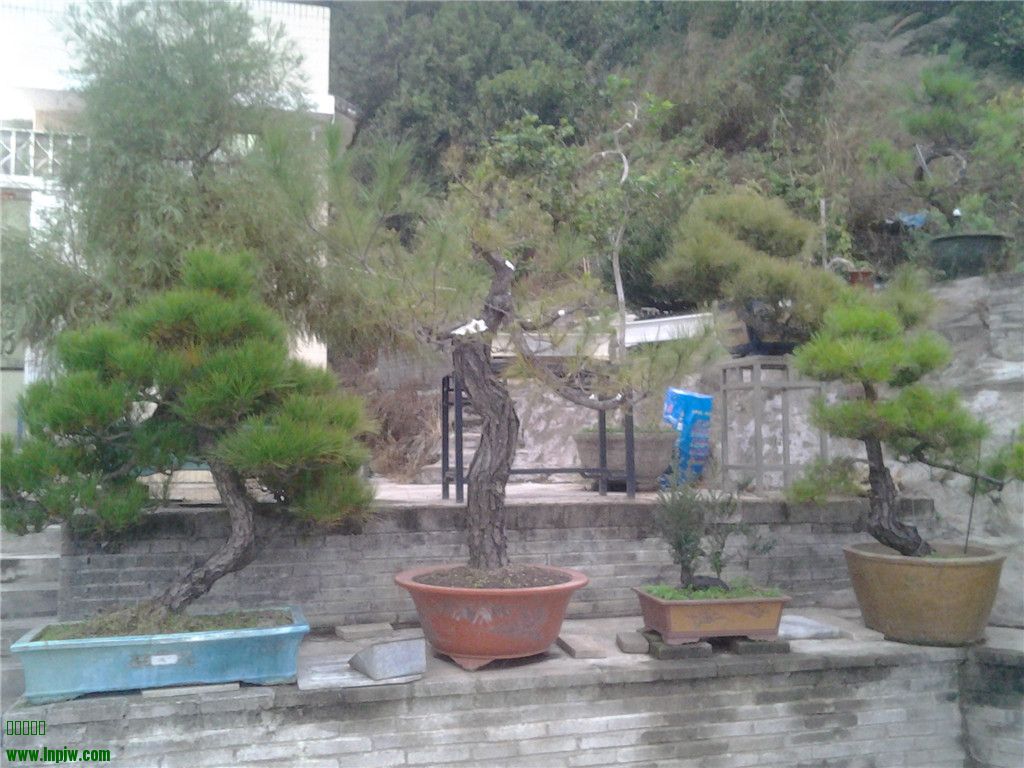 20131214_172154.jpg