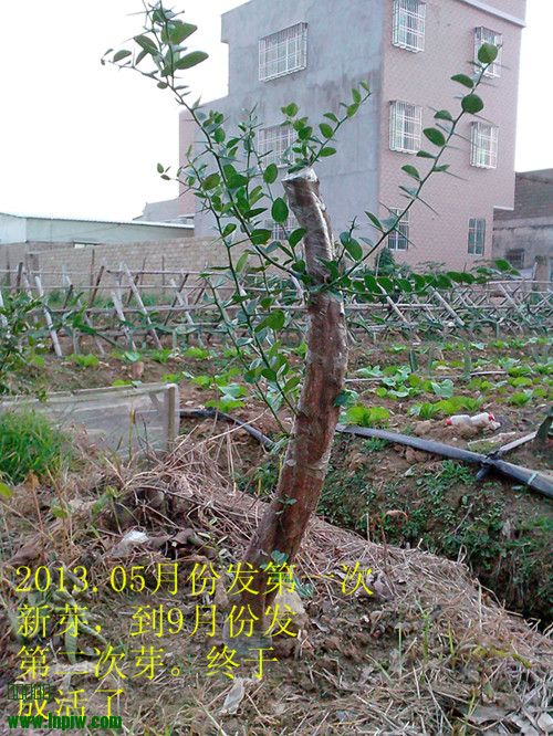 IMG20131128008_.jpg
