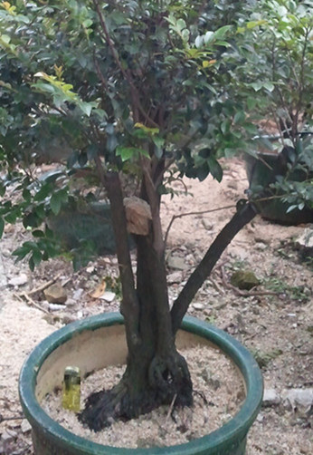 2013-05-28 17.46.282013.07.jpg