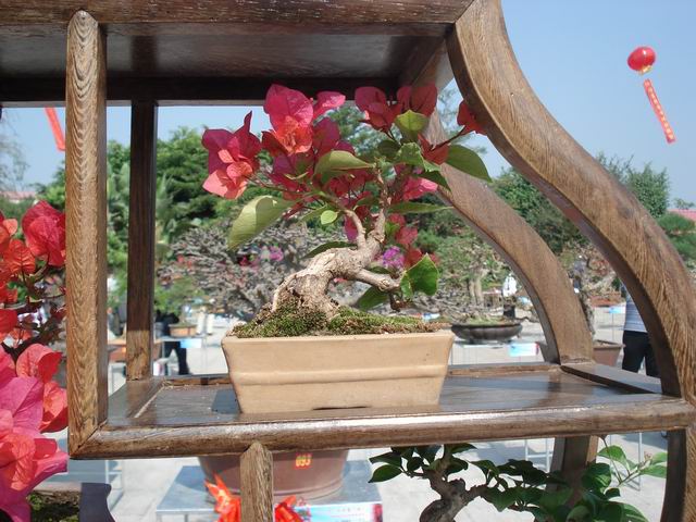DSC01495.JPG