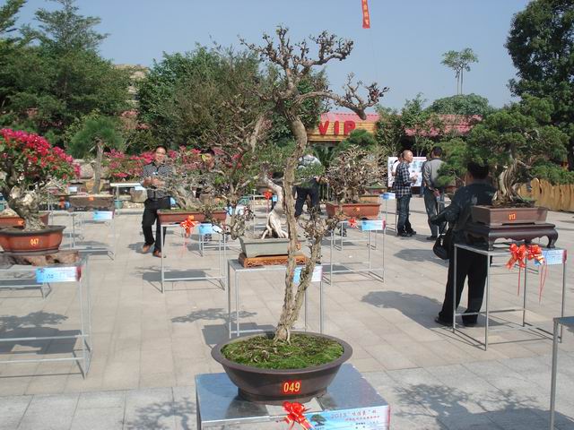 DSC01502.JPG