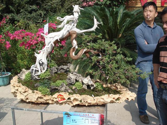 DSC01507.JPG