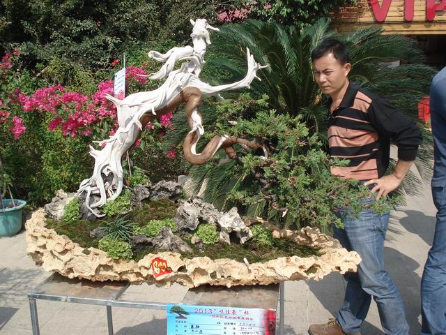 DSC01506.JPG