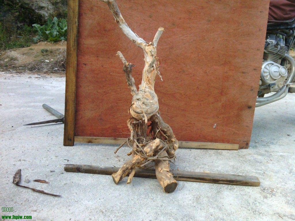 IMG_20131219_160335.jpg