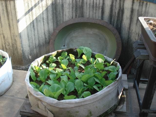 DSC01528.JPG