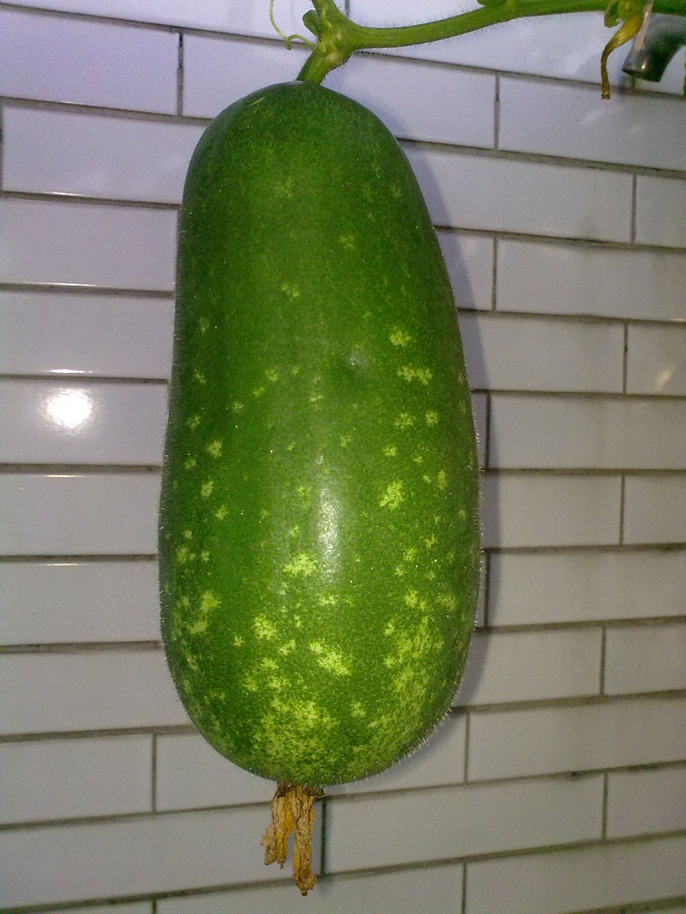 ԰ڹ9.jpg
