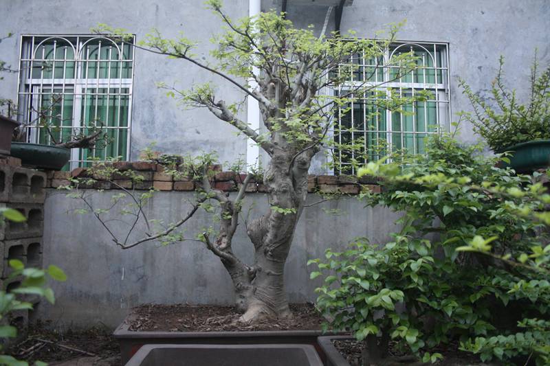 Ƭ20131026ۺ 097.jpg