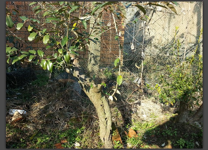 QQͼ20131222123942.jpg