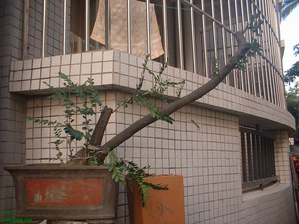 DSCF0003.JPG