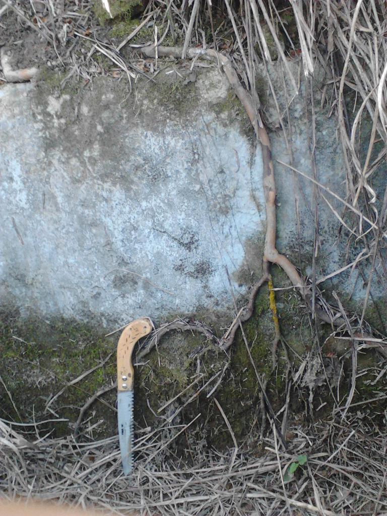 IMG_20131222_163701.jpg