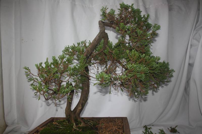 Ƭ20131026ۺ 006.jpg