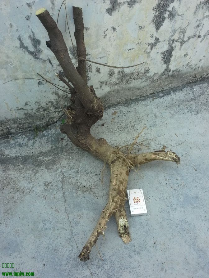 20131223_125840_С.jpg