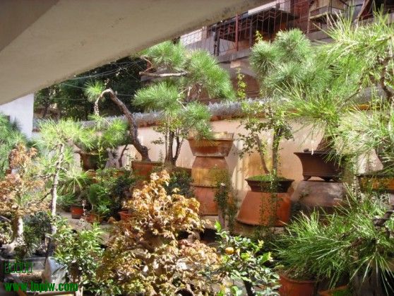 SDC13644.JPG