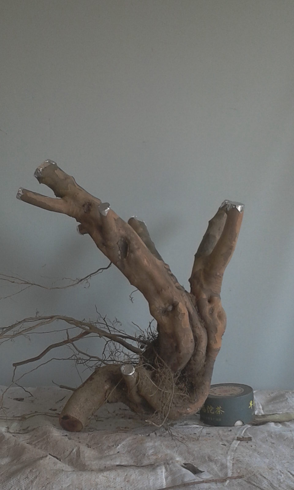 2013-12-22 10.56.35.jpg