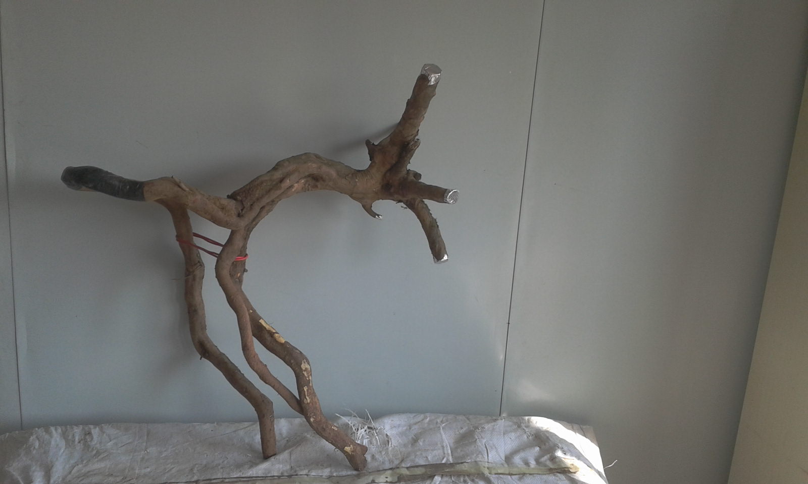 2013-12-22 10.37.37.jpg