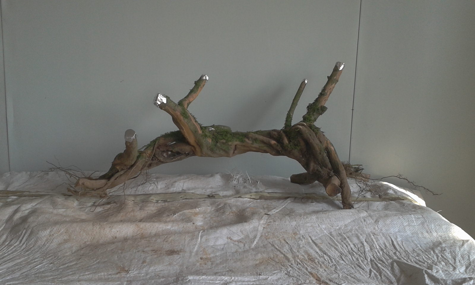 2013-12-22 10.39.55.jpg