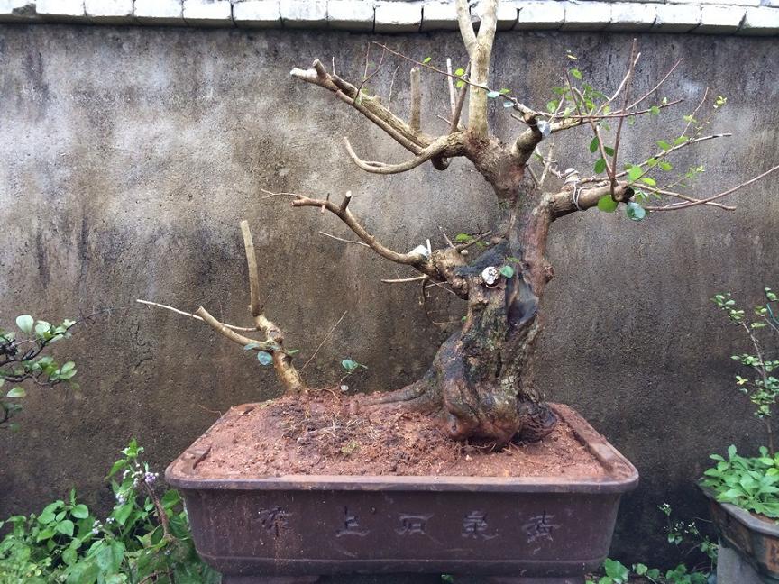 QQͼƬ20131224113901.jpg