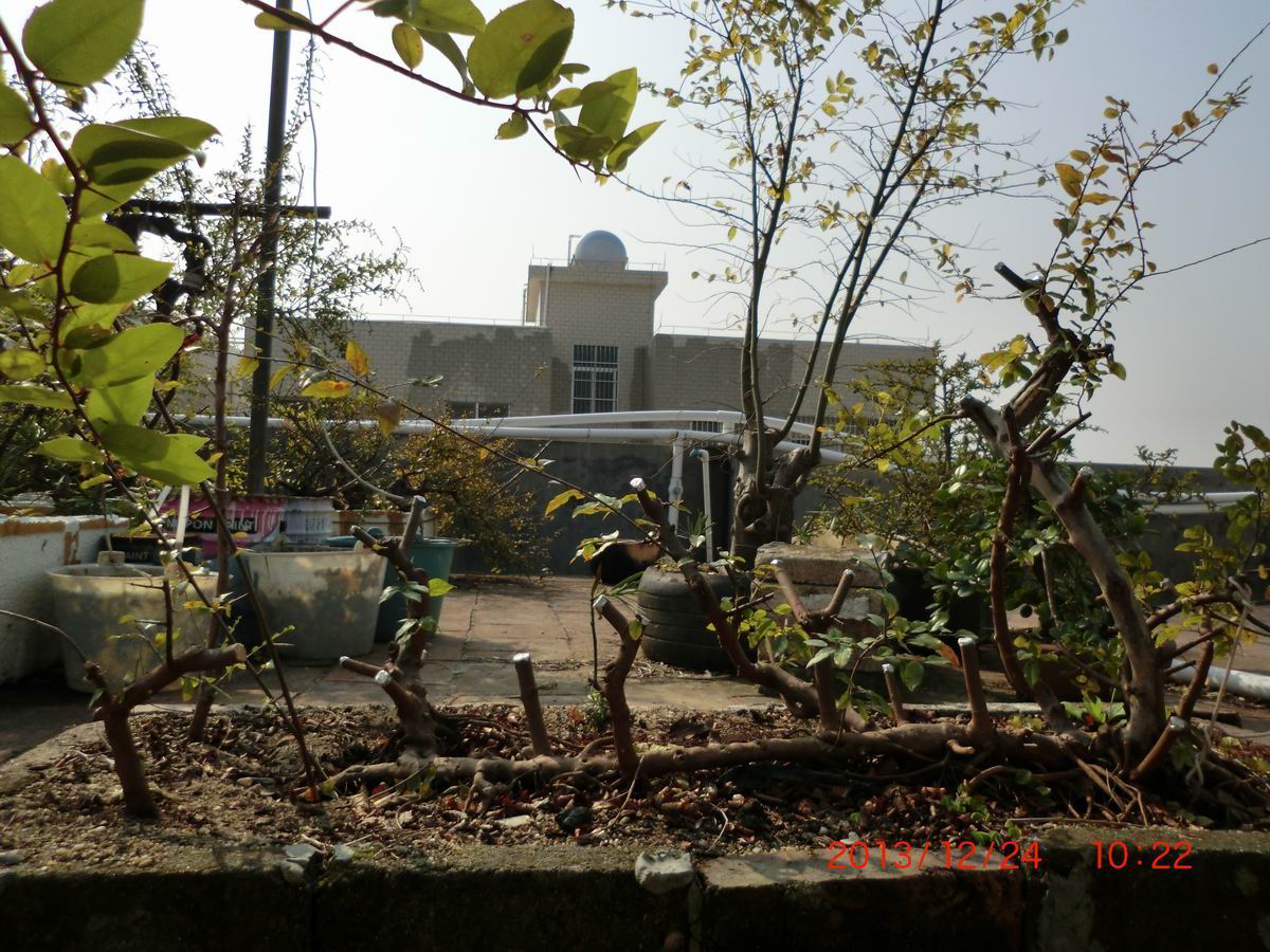 CIMG0926.JPG