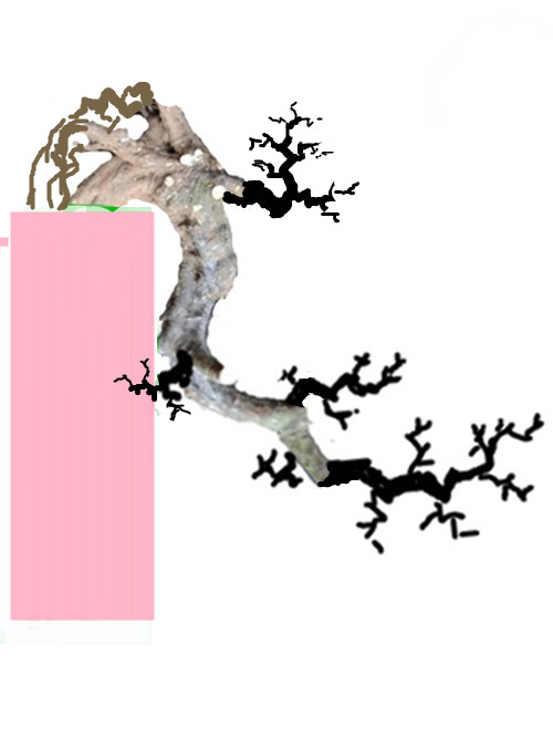 181218j6btpmz3rm99mrzd_____.jpg