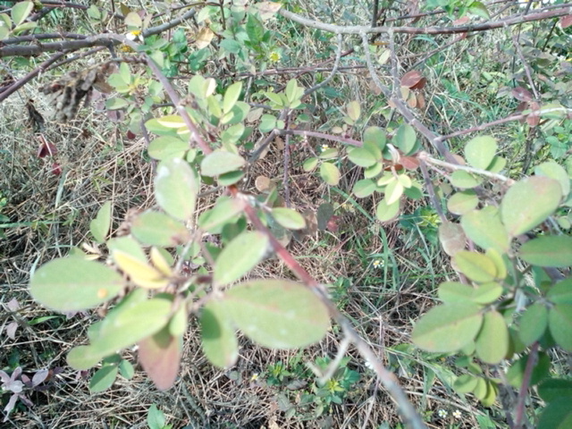 IMG_20131227_122034.jpg