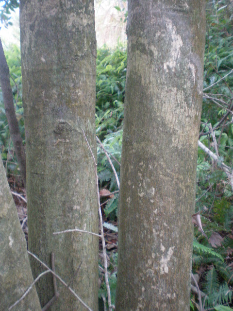 PB130230.JPG