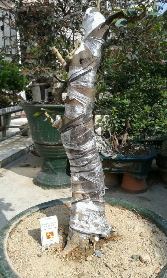 QQͼƬ20131229201532.jpg