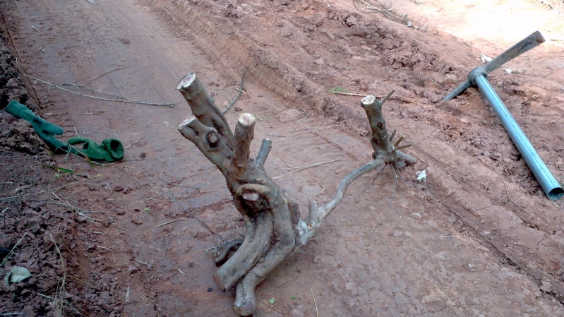2013-12-29_13-03-53_799_conew1.jpg
