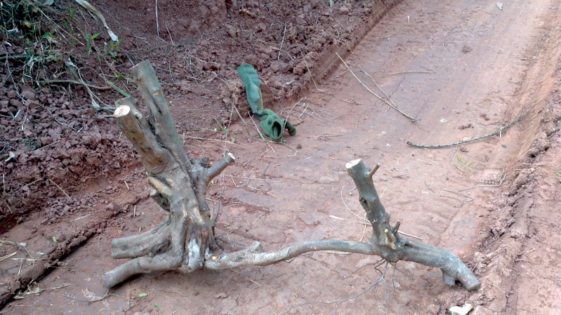 2013-12-29_13-03-41_414_conew1.jpg