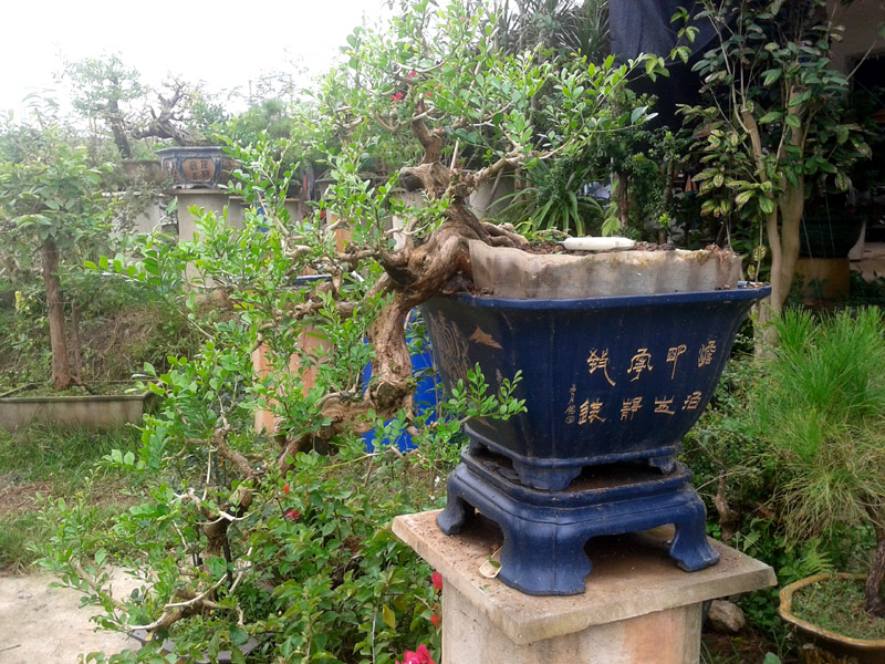 20131019_092621.jpg