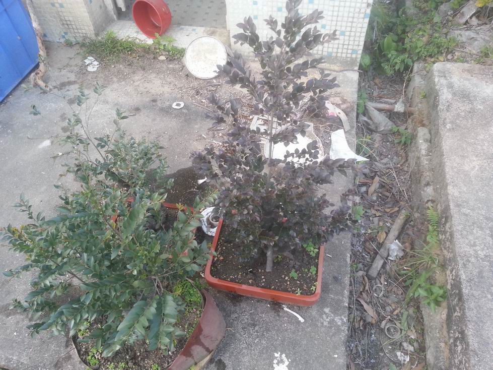 С 20131225_165432.jpg