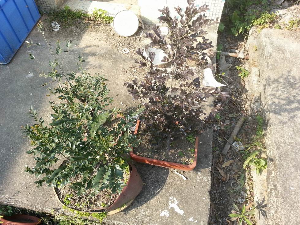 С 20131230_143124.jpg