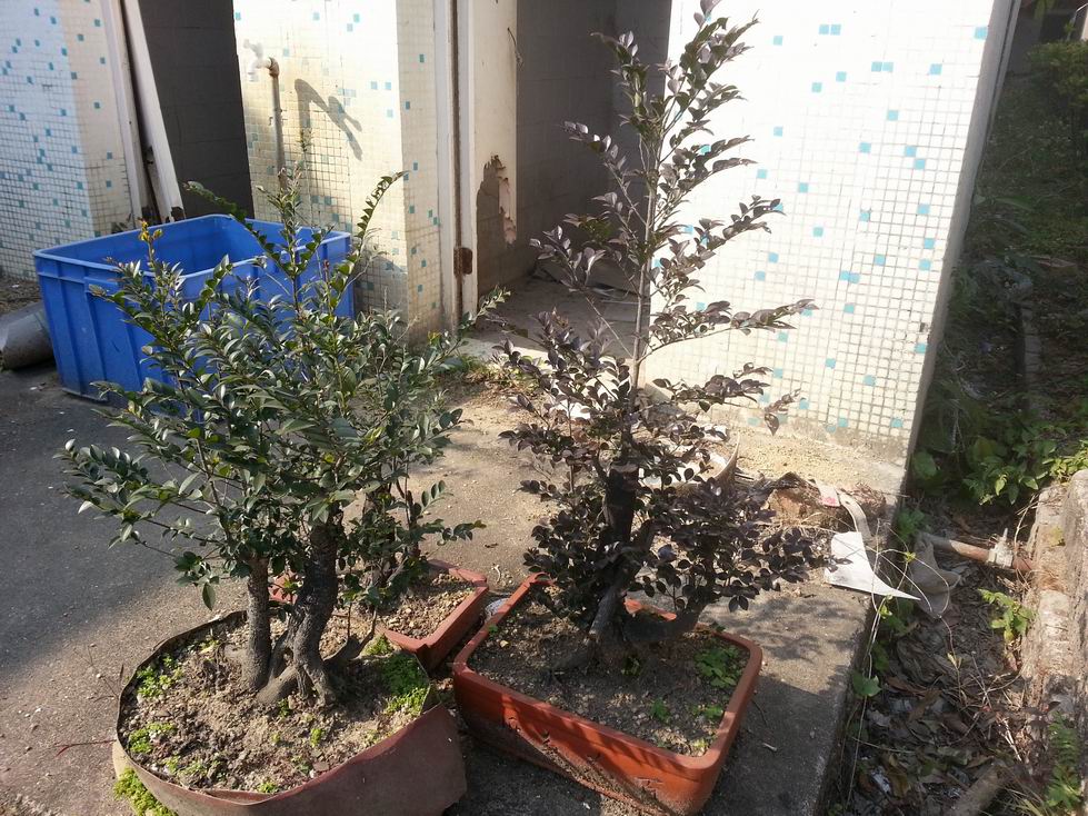 С 20131230_143131.jpg