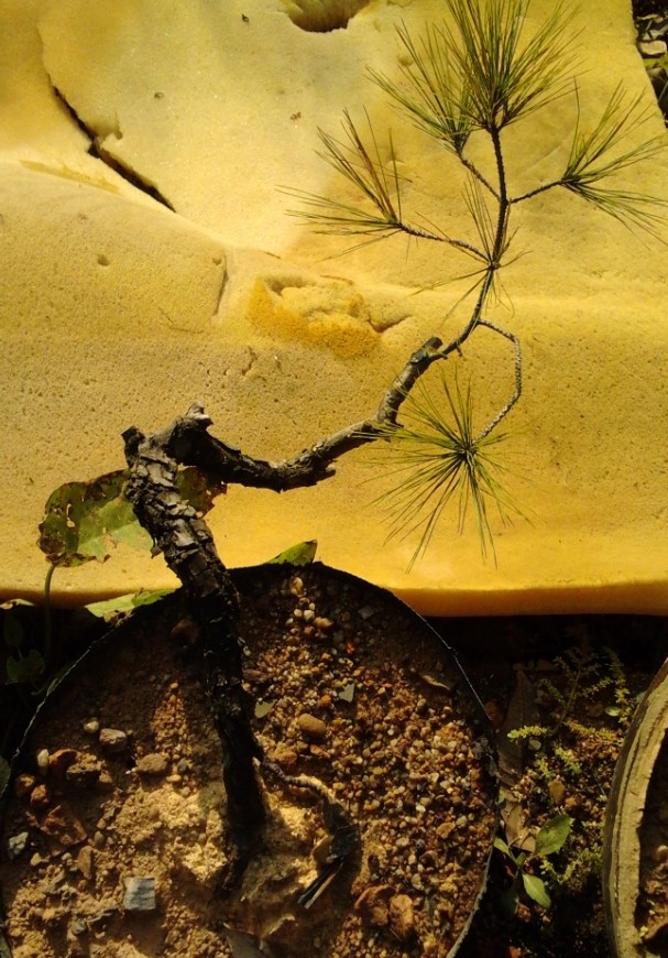 QQͼƬ20140101163453.jpg