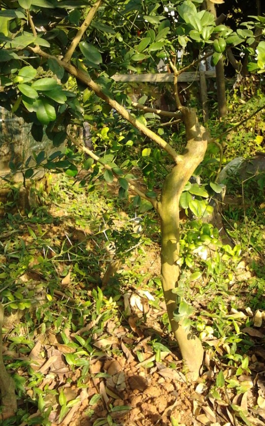 QQͼƬ20140101163652.jpg