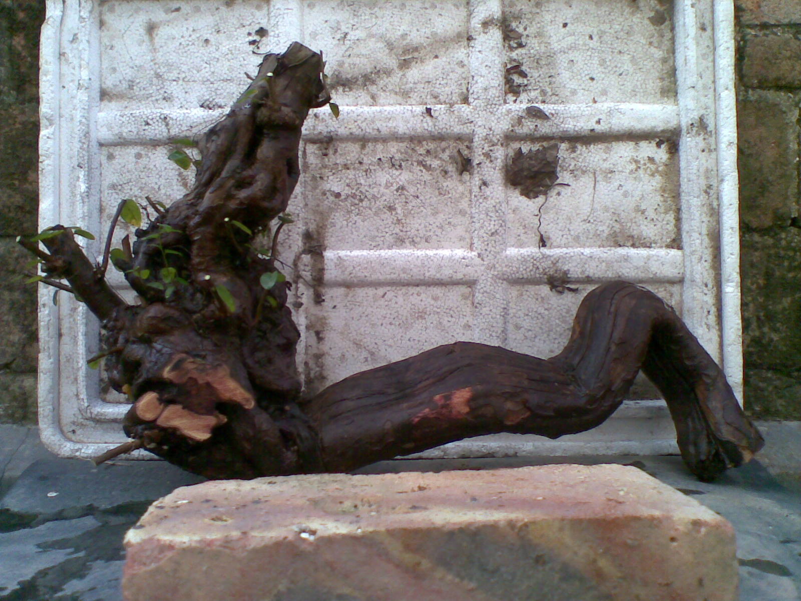 20131231.jpg