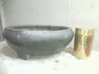 IMG0303A.jpg