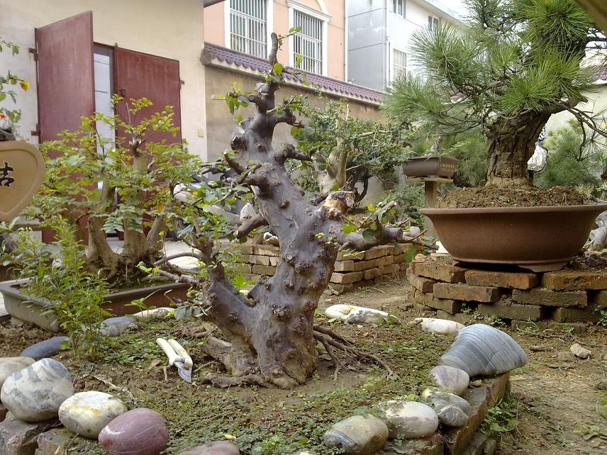 20111018457.jpg