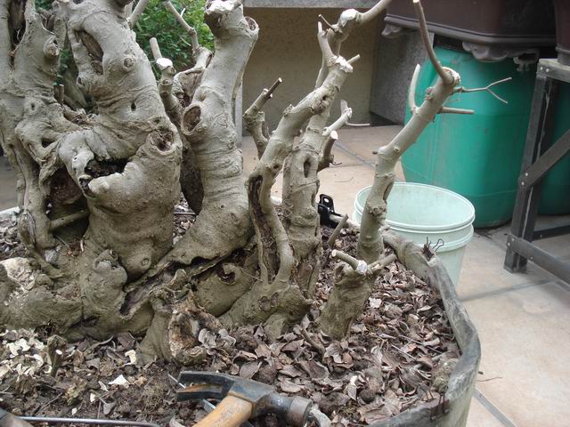 DSC01569.JPG