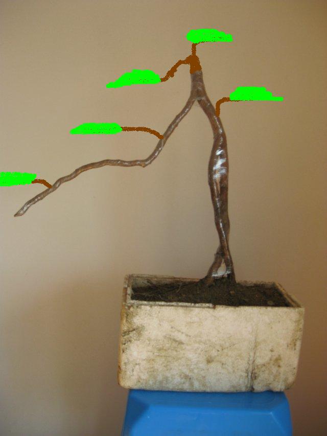 ޸ĺĻƾ.JPG