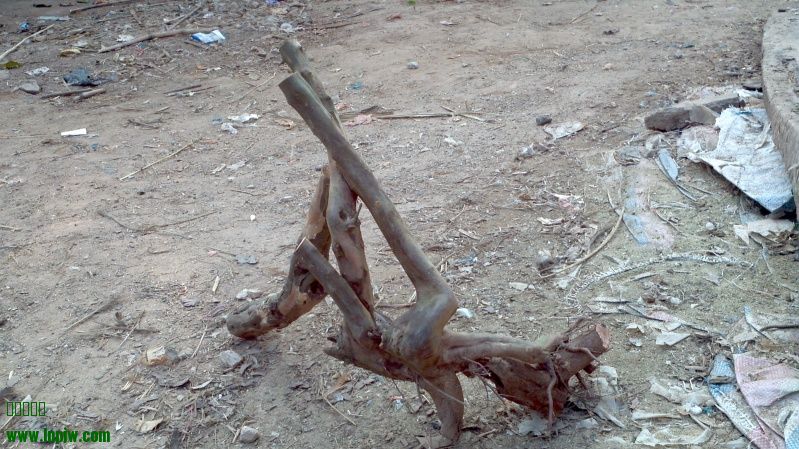 2014-01-05_16-13-04_561_conew1.jpg